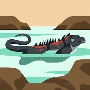 Meet your Posher, Aaliyah